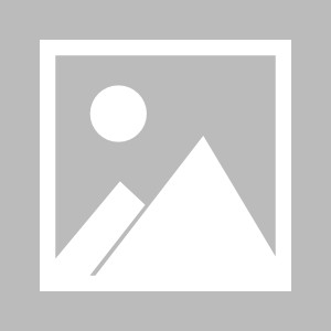 世界杯手机版安装-【体坛诸葛梁】送李铁一碗毒鸡汤：快辞职，别学毛子